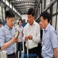 何树山和杨光荣副省长调研安徽智磁